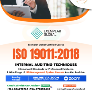 ISO 19011:2018 Internal Auditing Techniques (English)